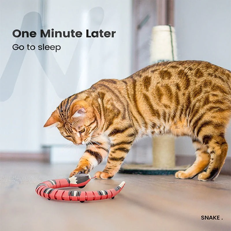 Vypra — Interactive USB Rechargeable Snake Cat Toy for Active Play - Image 7